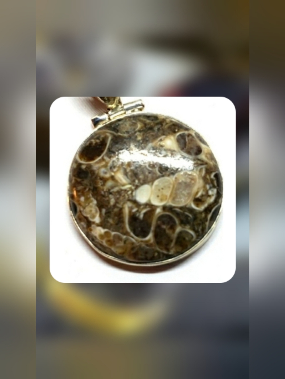 Vintage Turritella Agate SS Pendant-Animal Rescue